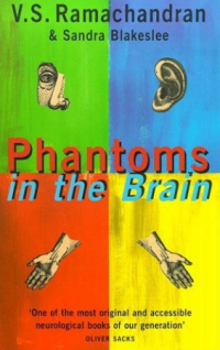 Image of Phantoms in the Brain
