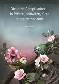 Image of Obstetric Emergencies in Primary Midwifery Care In The Netherlands