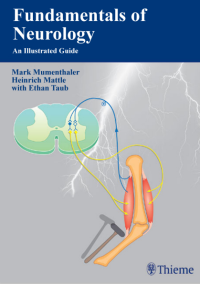 Image of Fundamentals of Neurology An Illustrated Guide