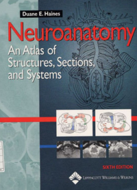 Image of Neuroanatomy An Atlas of Structures, Sections, and Systems.