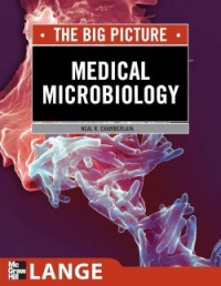 Image of Medical Microbiology (The Big Picture)