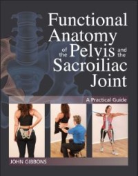 Image of Functional Anatomy of the Pelvis and the Sacroiliac Joint : A Practical Guide