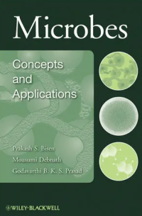 Image of Microbes: Concepts and Applications (Human and Microbial World)