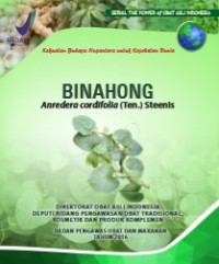 Image of Binahong : Anredera Cordifolia (Ten) Steenis
