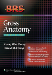 Image of Gross Anatomy