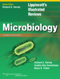 Image of Lippincott's Illustrated Reviews Microbiology