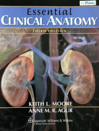 Image of Essential Clinical Anatomy