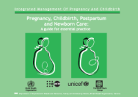 Image of Pregnancy, Childbirth, Postpartum and Newborn Care: A Guide for Essential Practice