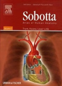 Image of Sobotta: Atlas of Human Anatomy (Vol. 2: Trunk, Viscera, Lower Limb)